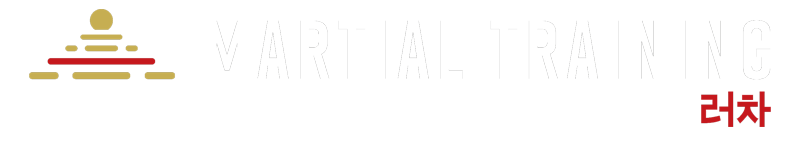martial training logo mobile